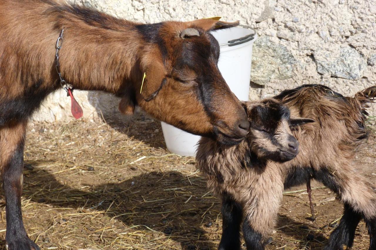 Frühstückspension La Meta Pieve di Bono